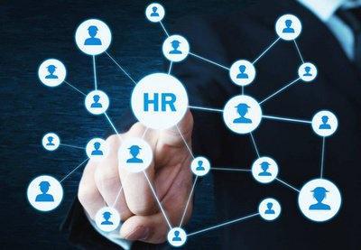 網絡技術開發 驅動四海共創團隊高效協作的強大引擎