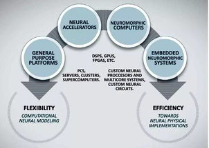 神經網絡 技術發展、未來挑戰與網絡技術開發的交匯點